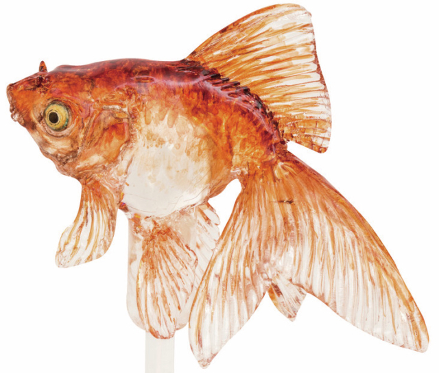 【東京ソラマチみやげ】飴細工“金魚”