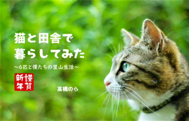 【連載エッセイ・第8回】猫と田舎で暮らしてみた~6匹と僕たちの里山生活~