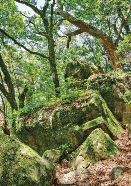 ③ 粟ヶ岳山頂 阿波々神社
