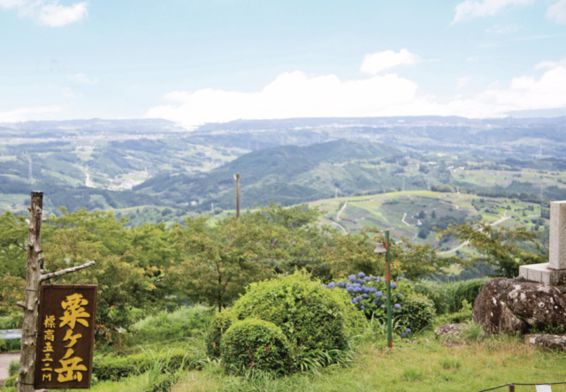 茶文字の里・東山は、茶草場農法の聖地!