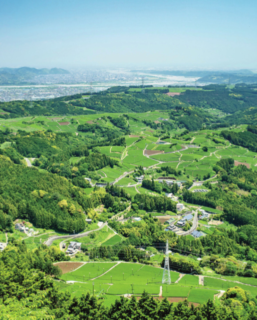 ① 粟ヶ岳世界農業遺産 茶草場テラス