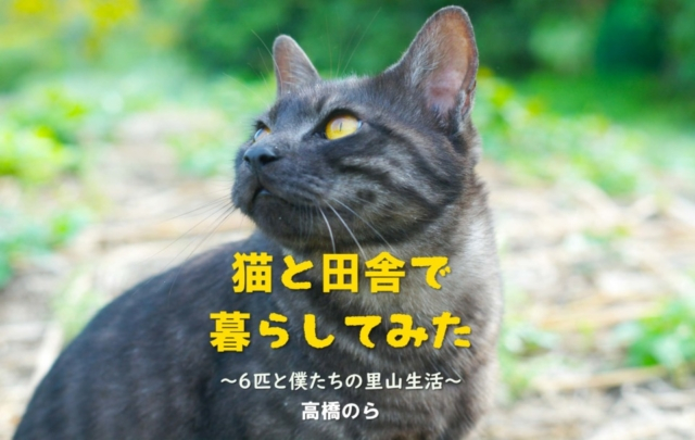 【連載エッセイ・第16回】猫と田舎で暮らしてみた~6匹と僕たちの里山生活~