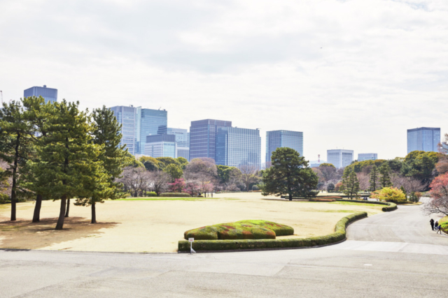 【東京1日観光×大人2】皇居東御苑