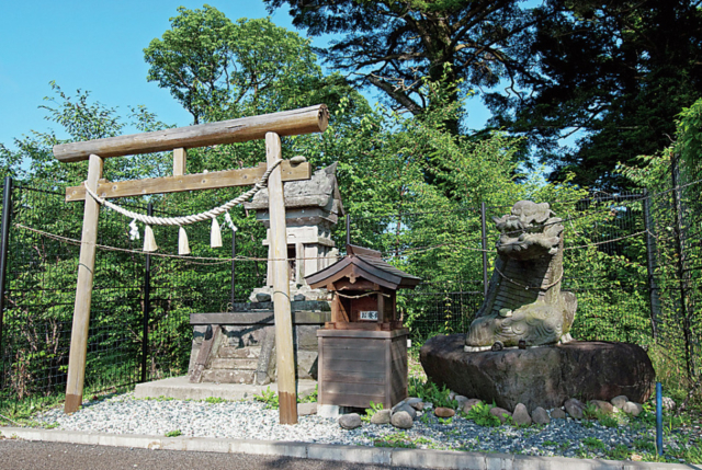 九重“夢”大吊橋とは?