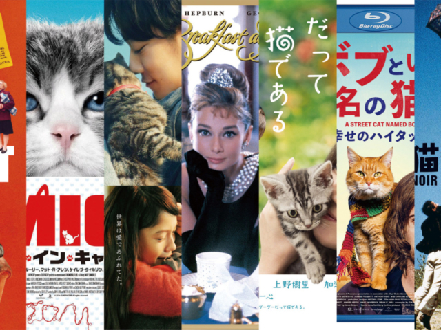 猫と過ごすおうち時間 おすすめの猫映画9選 まっぷるトラベルガイド 猫と過ごすおうち時間 おすすめの猫映画9選 まっぷるトラベルガイド