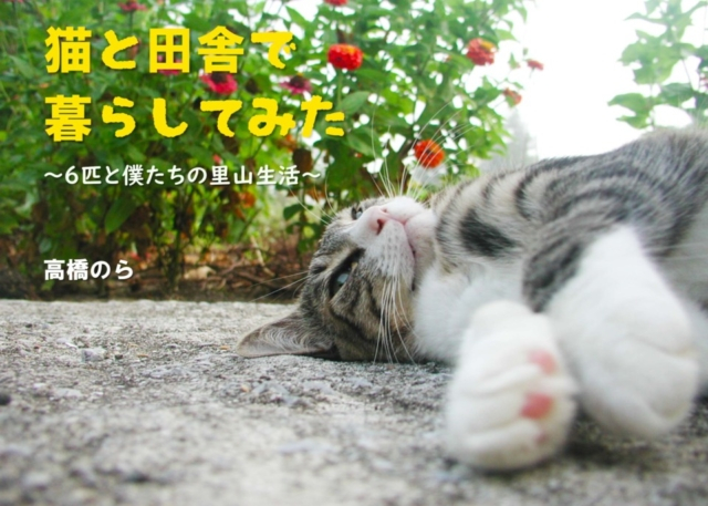 【連載エッセイ・第12回】猫と田舎で暮らしてみた~6匹と僕たちの里山生活~
