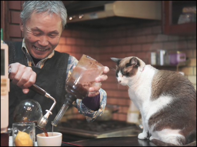 千葉・松戸の喫茶店「FUJI」の看板ねこ:ポンタ、テン