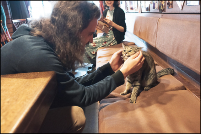 北海道・札幌の喫茶店「ミルク」の看板ねこ:おはぎ、いなり