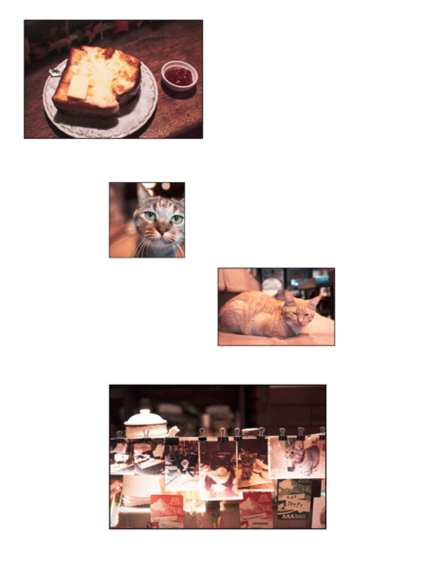 北海道・札幌の喫茶店「ミルク」の看板ねこ:おはぎ、いなり