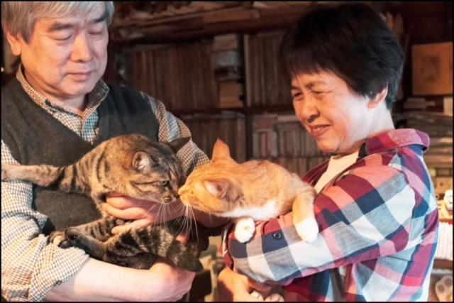 北海道・札幌の喫茶店「ミルク」の看板ねこ:おはぎ、いなり