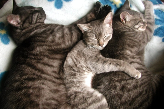 いつでもどこでもべったり長女さん