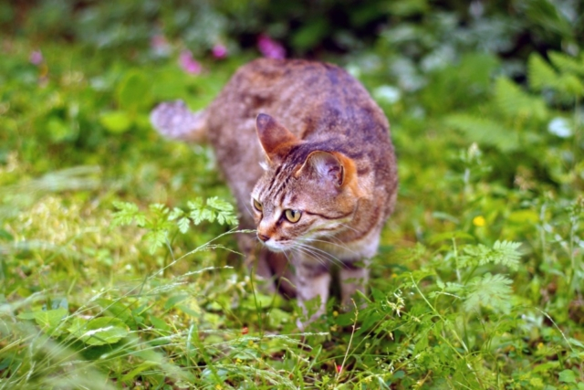 外から見る伊豆と住んでみた伊豆