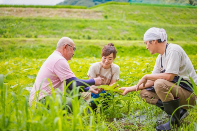 移住体験記をご紹介!地方移住や二拠点生活など体験レポート