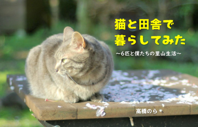 【連載エッセイ・第33回】猫と田舎で暮らしてみた~6匹と僕たちの里山生活~