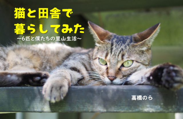 【連載エッセイ・第31回】猫と田舎で暮らしてみた~6匹と僕たちの里山生活~