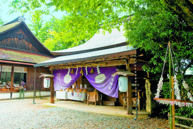桜色に染まった世界遺産の吉野山で、修験道の寺や神社仏閣を訪ねる