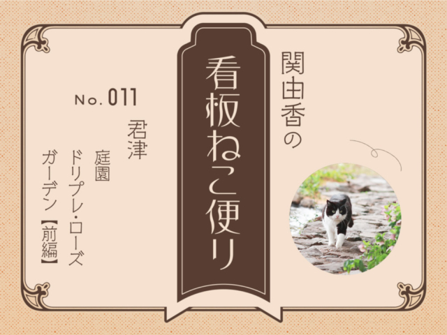 【連載フォトエッセイ・第11回】ねこ写真家・関由香の「看板ねこ便り」君津・庭園 「ドリプレ・ローズガーデン」 前編