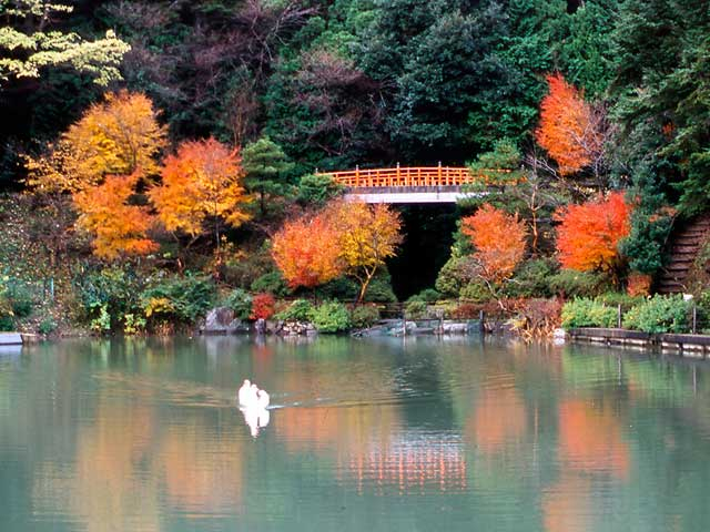 【石川県】穴場のおでかけ観光スポット25選!混雑を避けて楽しもう!