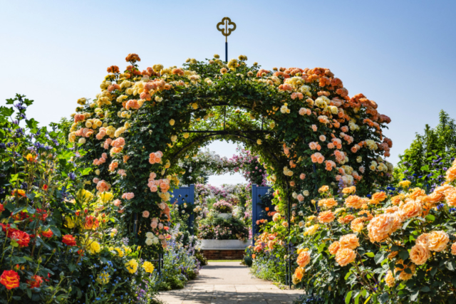 【群馬・中之条×絶景】時季によってさまざまな花を咲かせる! 中之条ガーデンズの魅力いっぱいの庭園「中之条ガーデンズ」