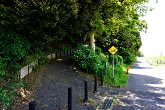 「国府台ふれあいのみち」から「里見公園」へ