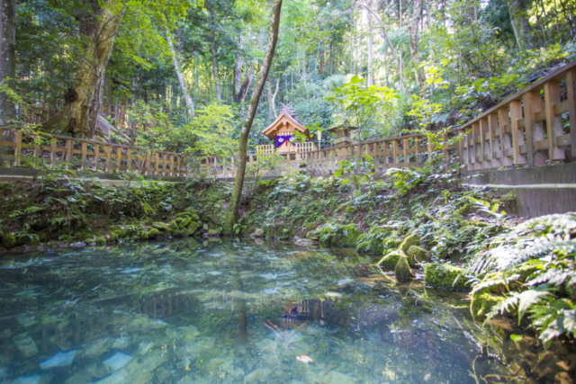 【松江・出雲のドライブコース・2日目】AM9:30 八重垣神社でご縁占い