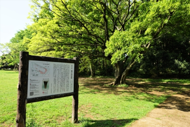 堀之内緑地で足慣らし!縄文時代の堀之内貝塚へ