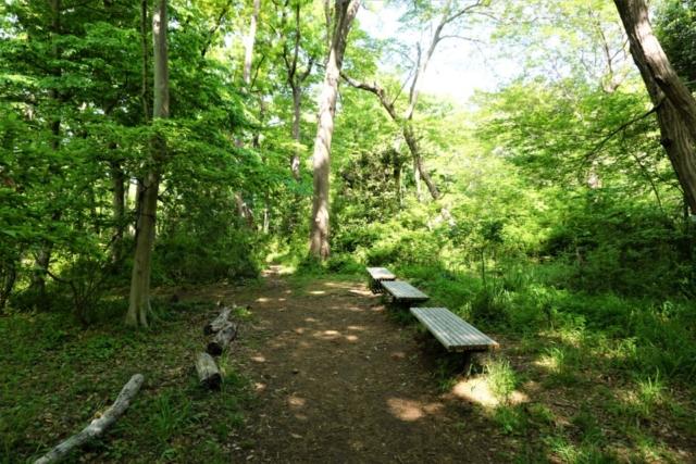 貝塚から脱出できない?