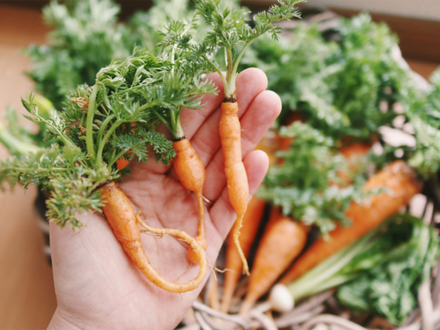 【私の移住体験】「近い田舎・川越」で豊かに暮らす