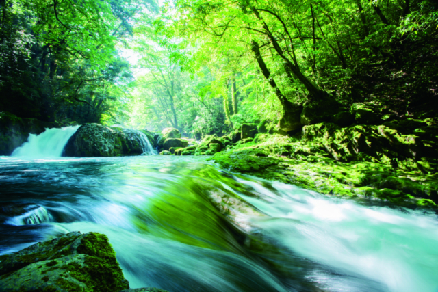 【熊本】菊池渓谷で森林浴!マイナスイオンをたっぷり浴びてリフレッシュ!!