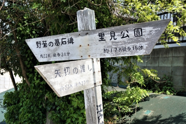 「国府台ふれあいのみち」から「里見公園」へ