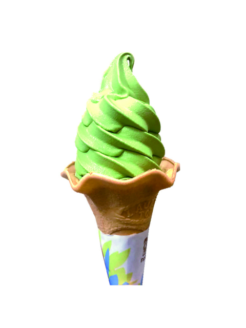 【立ち寄りスポット】道の駅 通潤橋