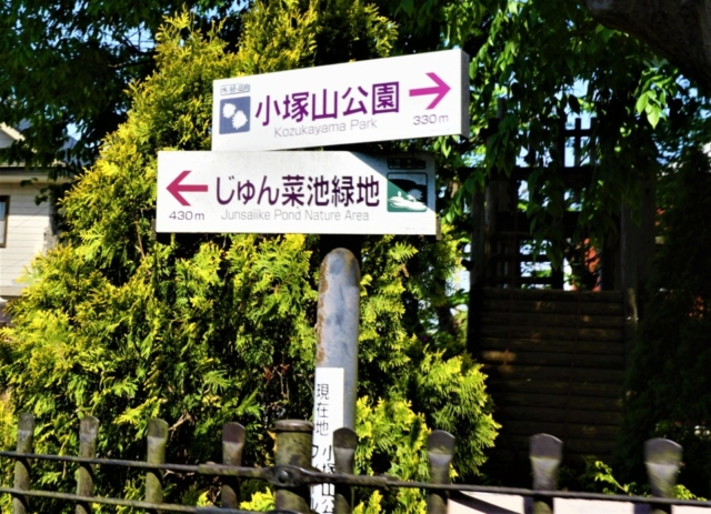 水と緑の回廊を歩く