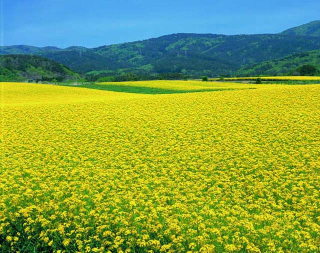 東北のとっておき超絶景10選 定番から知られざる穴場まで‼