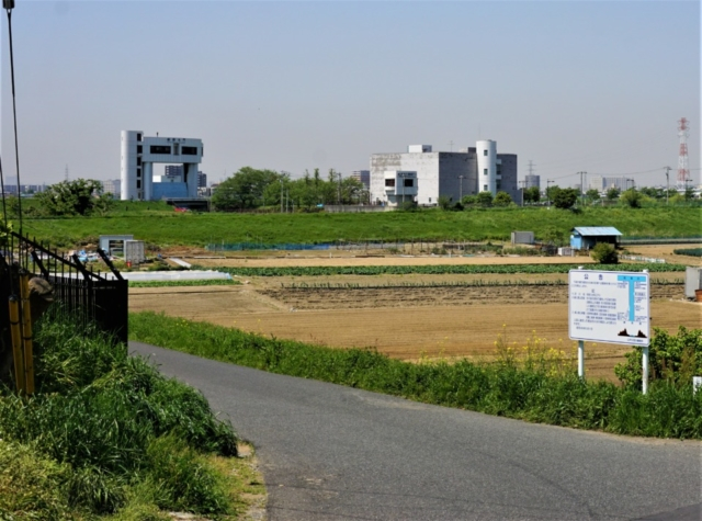 「国府台ふれあいのみち」から「里見公園」へ