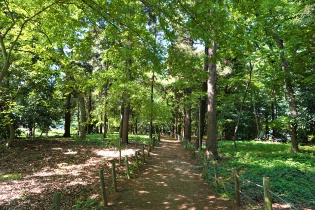 水と緑の回廊を歩く