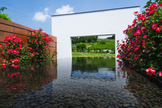 中之条ガーデンズのおすすめ庭園1.圧倒的な完成度を誇る一番人気の「ローズガーデン」