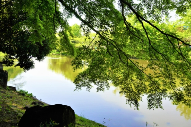 都心から30分で行くネイチャーウォーク 国府台・真間(市川市)前編 《北国分駅~市川駅 10.4km 徒歩5時間30分 約1万9千歩》