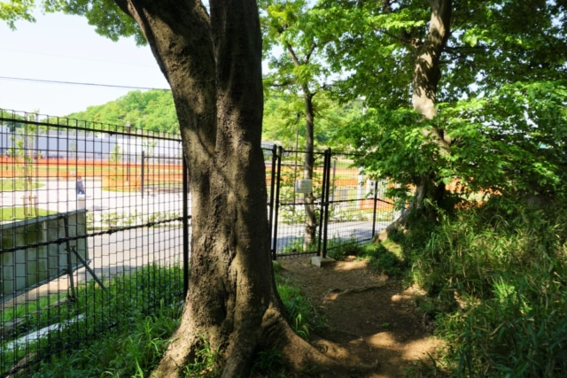 貝塚から脱出できない?