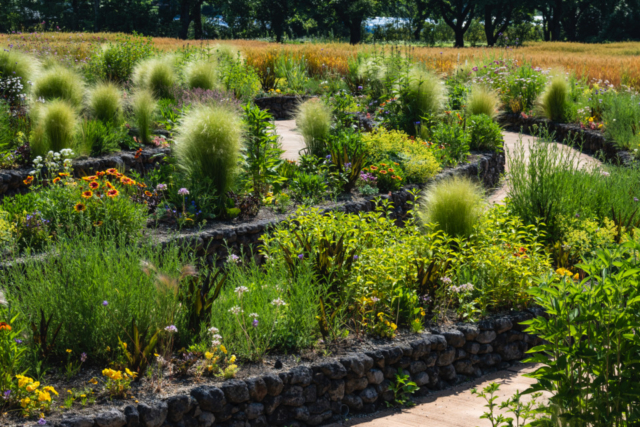 中之条ガーデンズのおすすめ庭園2.渦巻き状の植栽を中心とした「スパイラルガーデン」