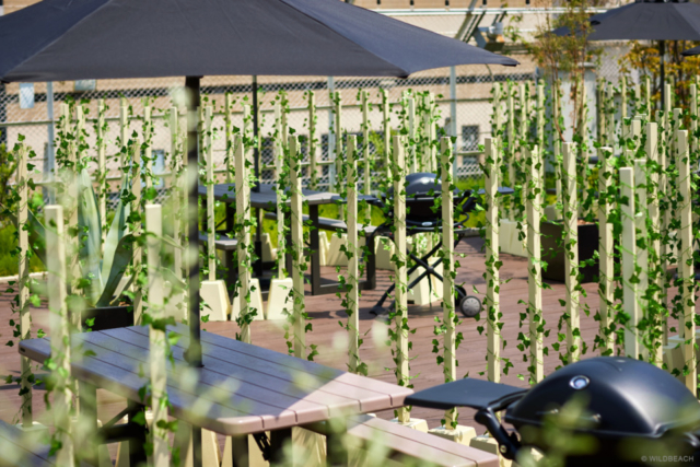 木製サークルで囲まれた「フォレストガーデン」