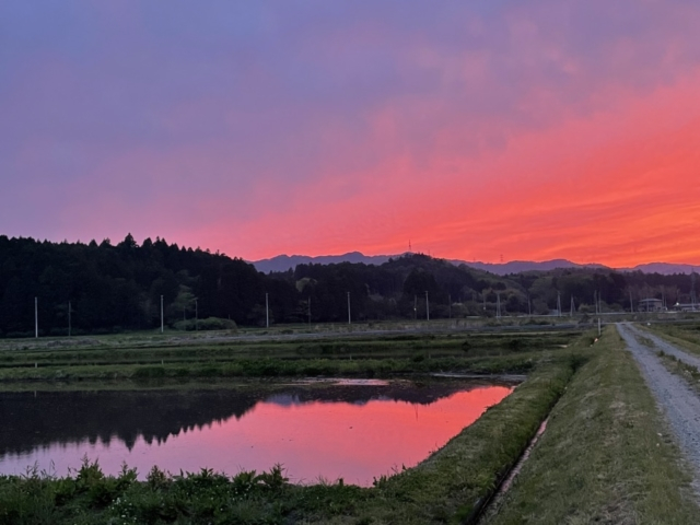 【私の移住体験】地方で「生き直す」~都会育ちアラフォー女子の移住体験記