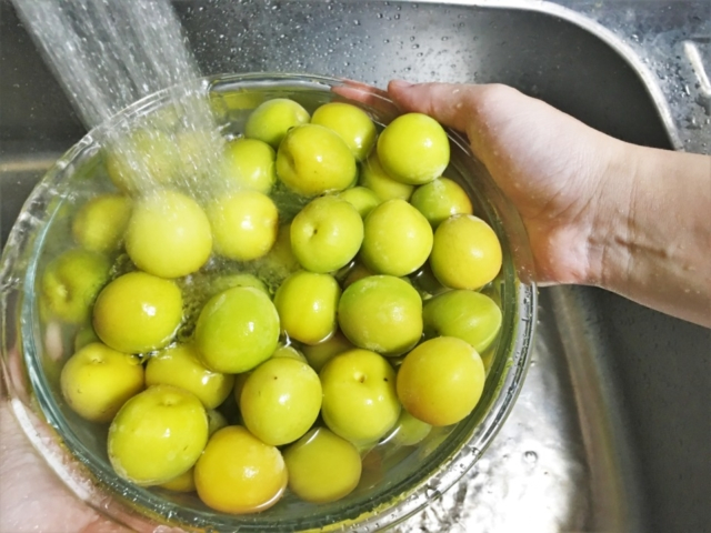 作り方① 梅の下ごしらえ