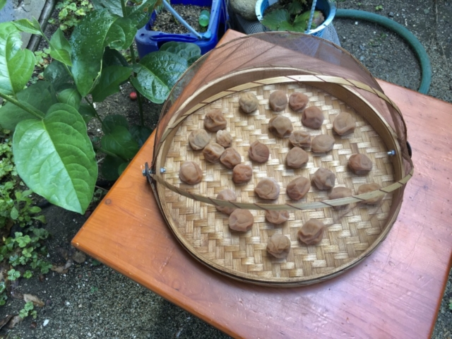 作り方④ 土用干し