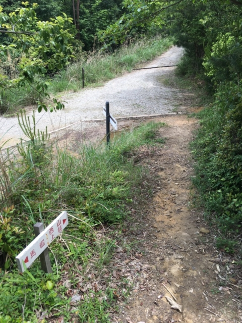 愛宕山と保津峡の絶景