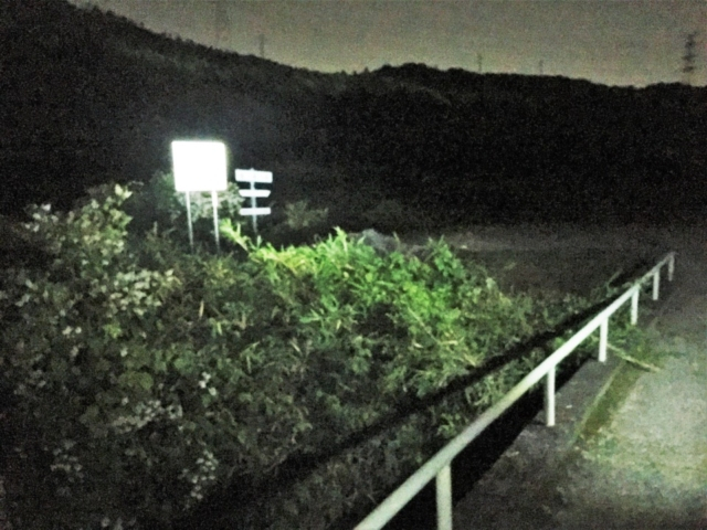 【本能寺の変 老ノ坂越えルート】漆黒の山陰古道