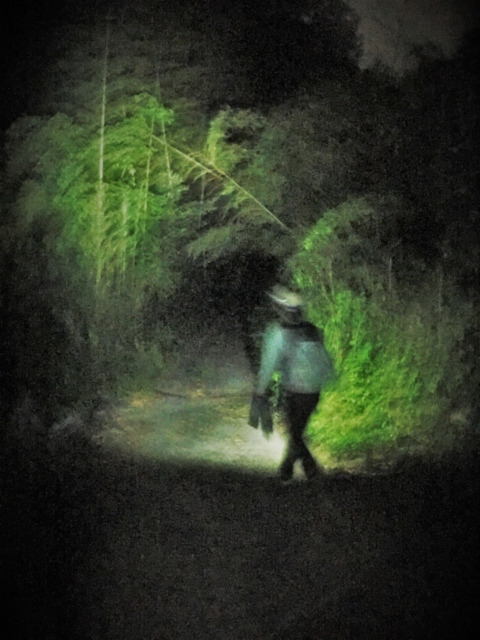 【本能寺の変 老ノ坂越えルート】漆黒の山陰古道