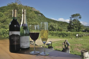 札幌の絶景カフェ1.八剣山キッチン&マルシェ