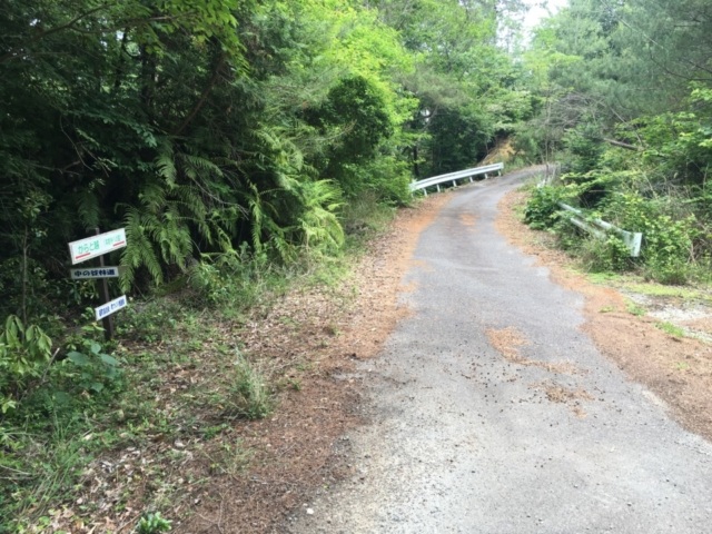 林道歩き