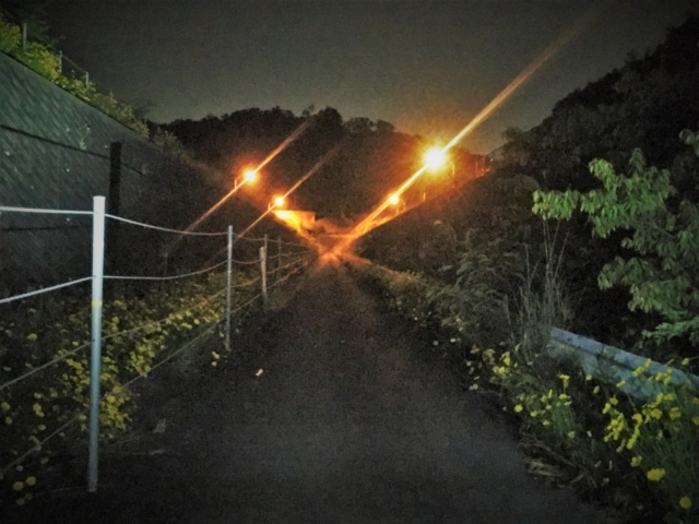 【本能寺の変 老ノ坂越えルート】いよいよ峠越え