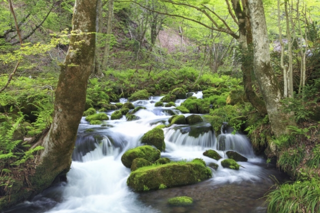 中国エリアのとっておき超絶景10選 定番から知られざる穴場まで‼